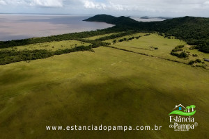 450 HA NO RS.00_00_54_15.Quadro006_e5b922c957cc27bbf51f0100326ab36756b6d750.jpg